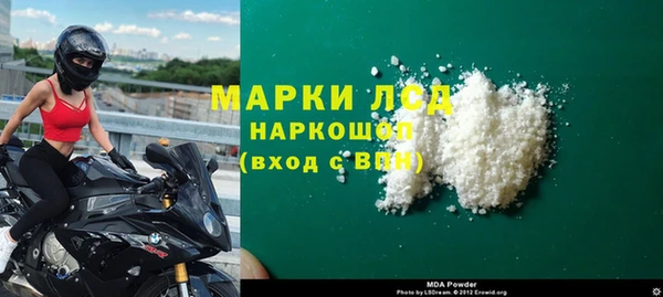 гидра Аркадак