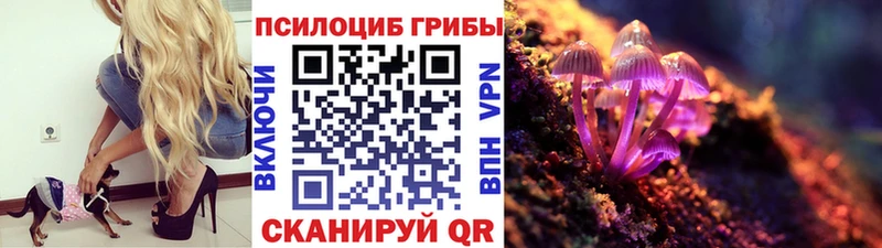 цена   Хотьково  Галлюциногенные грибы мухоморы 